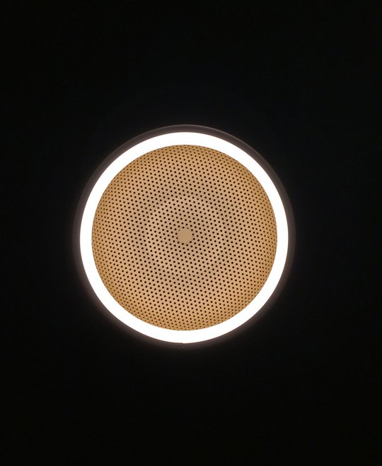 Mesh Wall / Ceiling Light