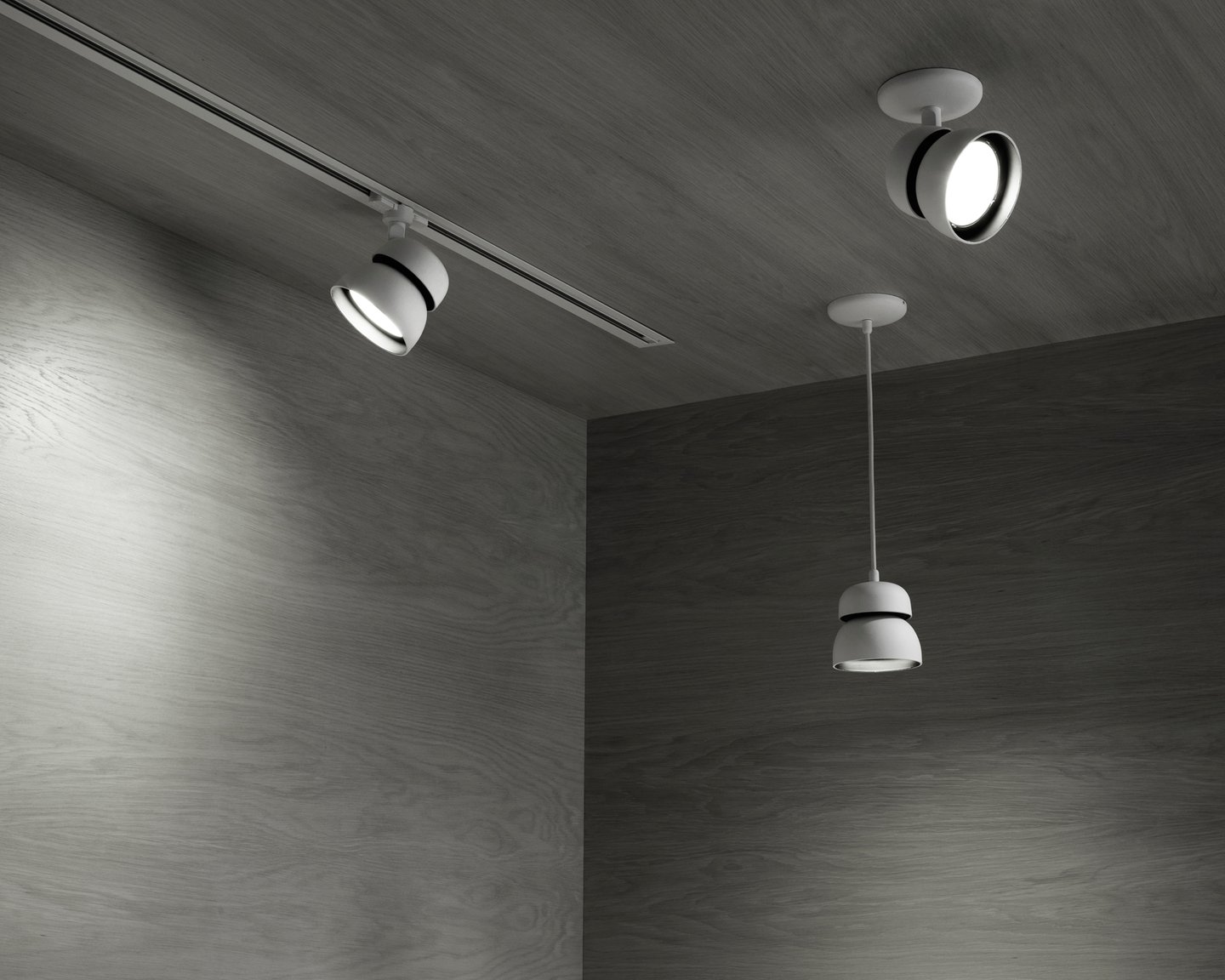 Image: uploads/2017_03/Resident-Echo-Light-by-Flynn-Talbot-2.jpg