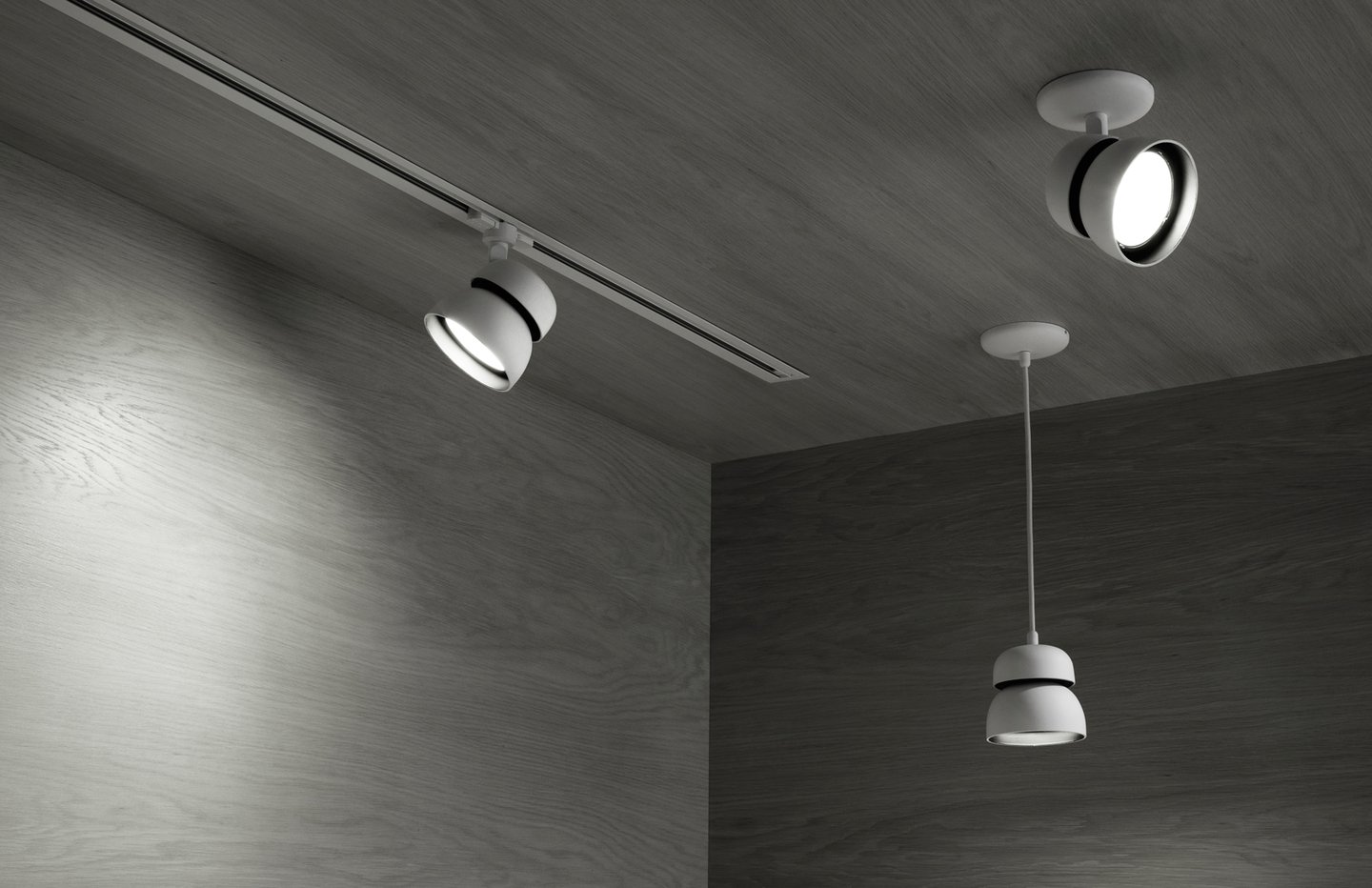 Image: uploads/2017_03/Resident-Echo-Light-by-Flynn-Talbot-2b.jpg
