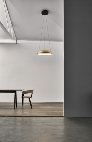 Image: uploads/2017_03/Resident_Mesh_AKL-1.jpg