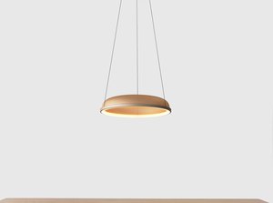 Image: uploads/2017_03/Resident_Mesh_Pendant_by_Flynn_Talbot-1.jpg