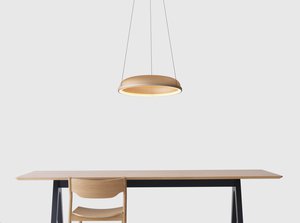 Image: uploads/2017_03/Resident_Mesh_Pendant_by_Flynn_Talbot-2.jpg