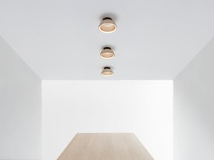 Image: uploads/2017_03/Resident_Mesh_Space_Ceiling_Light-1.jpg